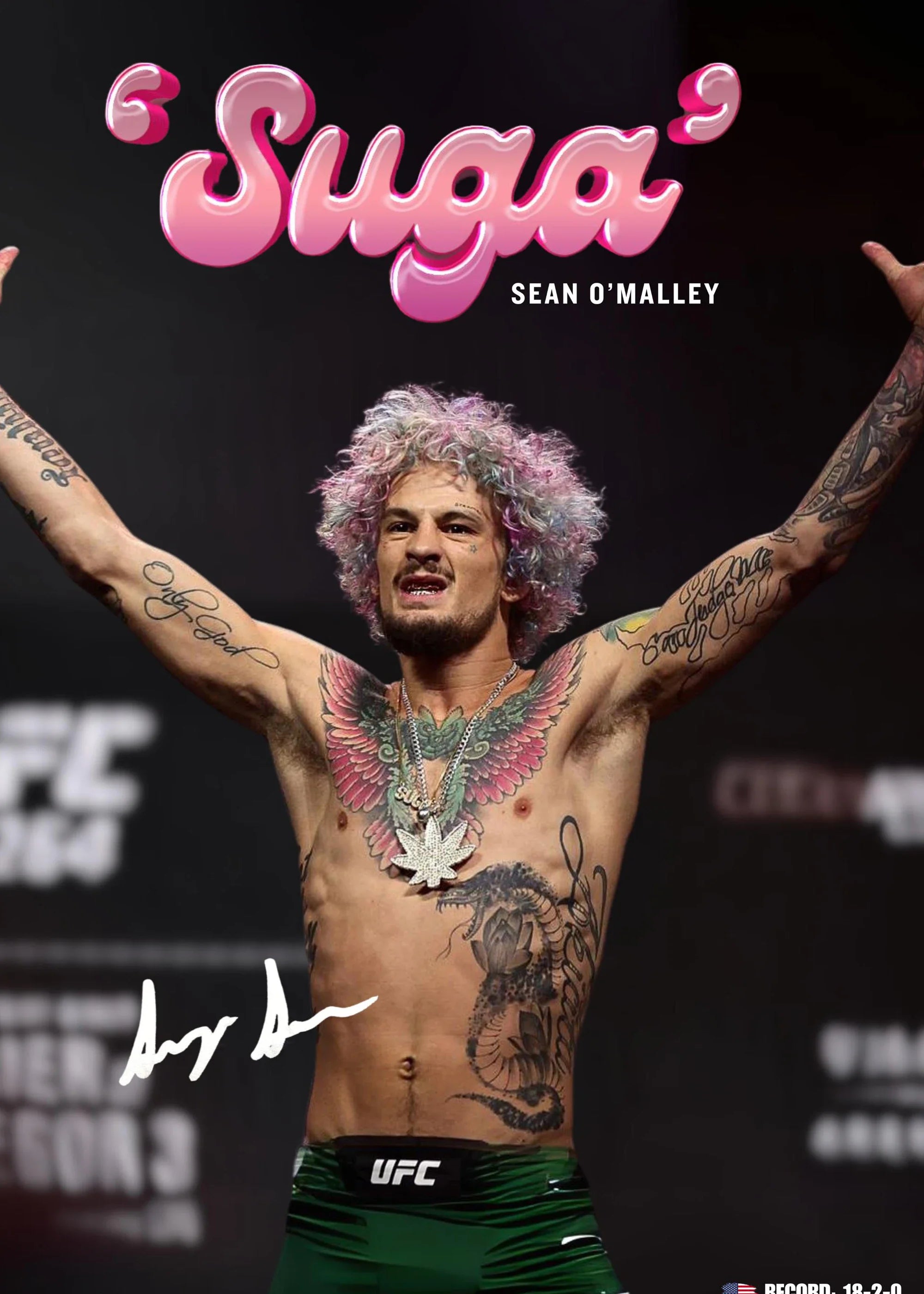 Ultimate Fighting Championship Poster UFC Mixed Martial Arts Unique Design Prints