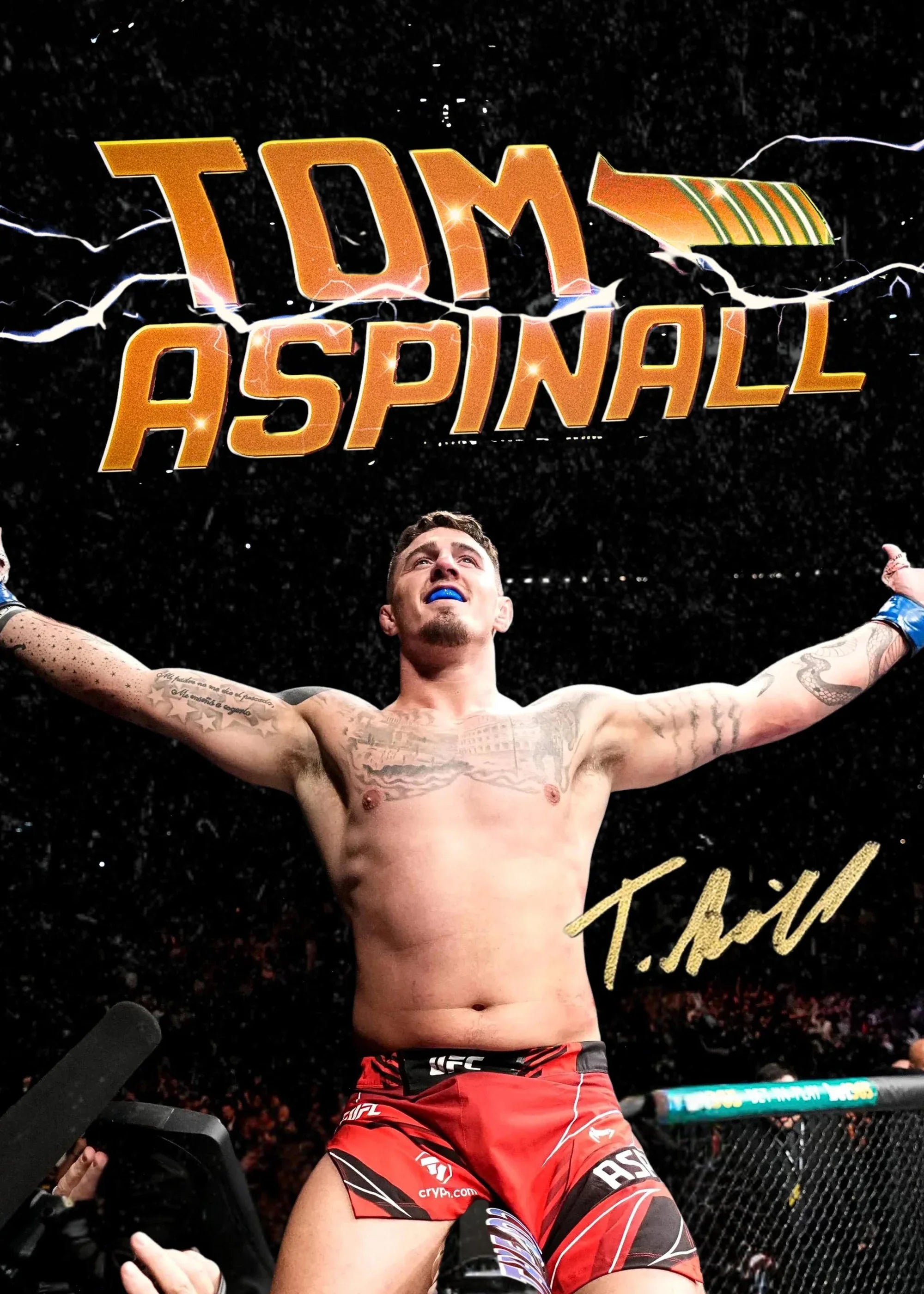 Ultimate Fighting Championship Poster UFC Mixed Martial Arts Unique Design Prints